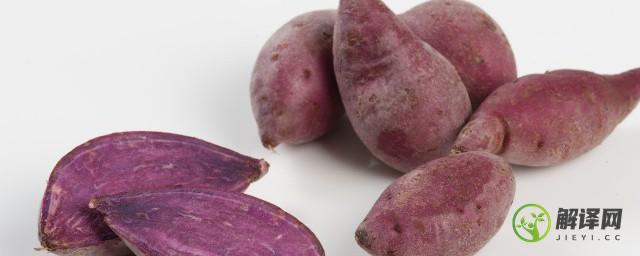 紫薯不适合什么人吃(紫薯什么样的人不能吃)