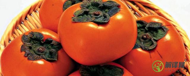 吃柿子可以减肥吗(吃柿子可以减肥吗减脂肪吗)