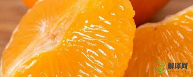 果冻橙是橘子还是橙子(果冻橙是橘子还是橙子味道)