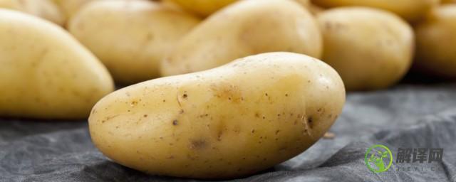 黄心土豆和白心土豆有什么区别