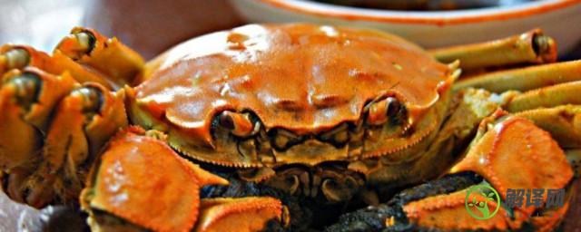 螃蟹能和梨子一起吃吗(螃蟹可以和梨子一起吃吗?)