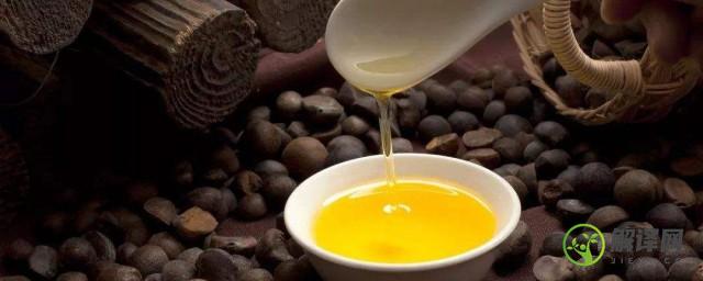 茶籽油的美容用法(茶籽油的美容方法)
