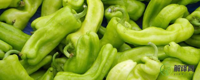 青椒是酸性食物还是碱性食物(青椒是酸性食物吗)