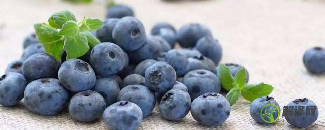 蓝莓可以不洗直接吃吗(蓝莓可以不用洗吗)