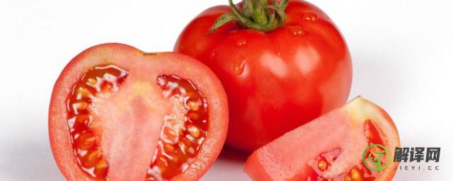 减肥吃西红柿可以吗(吃吃西红柿能减肥吗)