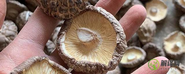 花菇的保存方法(鲜香菇怎样保存和保鲜)