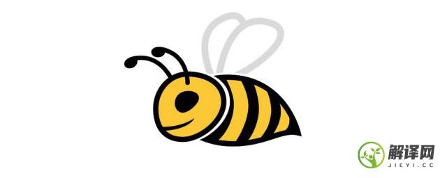 小蜜蜂用什么辨别味道(小蜜蜂用什么辨别气味)