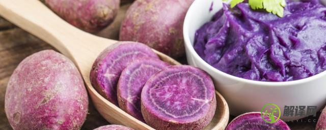 紫薯粥为什么是绿色的(紫薯粥为什么是绿色的呢能放醋吗)