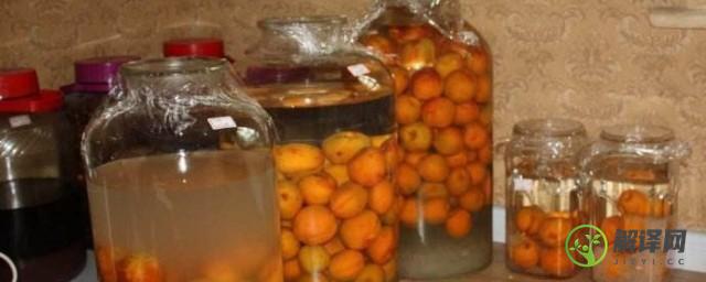 怎样自制发酵杏子酒(杏子发酵酒的酿制方法)