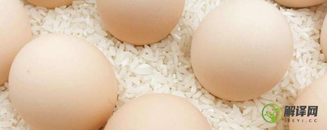 鸡蛋的最佳储存方法夏季(春季鸡蛋的储存方法)