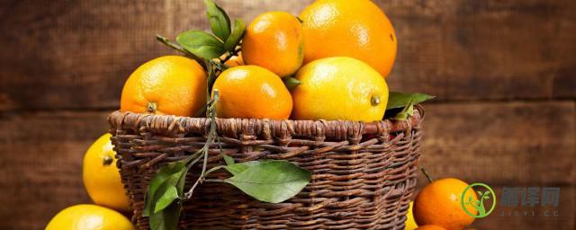 橘子跟桔子是什么关系(橘子和桔子的区别是什么呀[疑问])