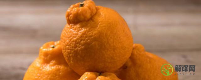 丑橘是不是转基因(丑橘是不是转基因的橘子)