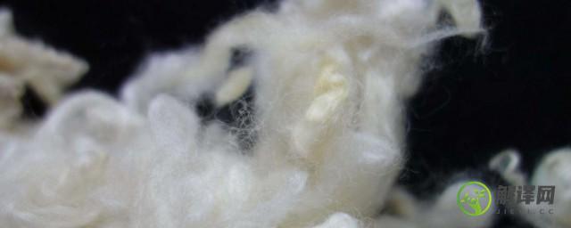 羊毛怎么做成毛线(羊毛怎么做成毛线的机器)