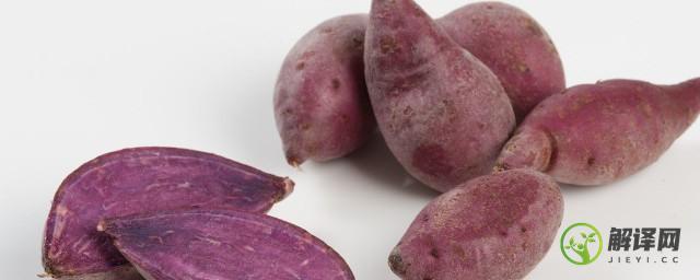 紫薯食用禁忌(紫薯食用禁忌是什么)