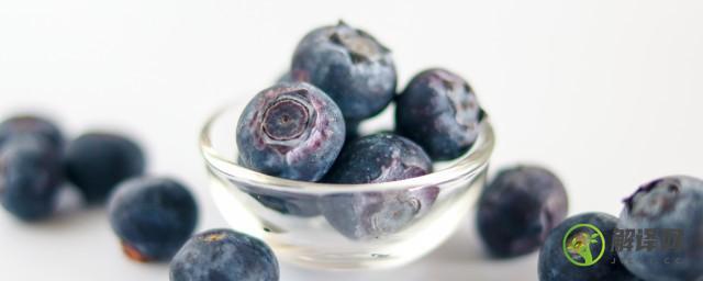 蓝莓冷冻能保存多久(蓝莓在冰箱冷冻可以放多久)