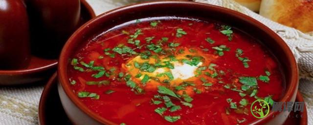 俄式红菜汤的家常做法(俄式红菜汤的做法大全)