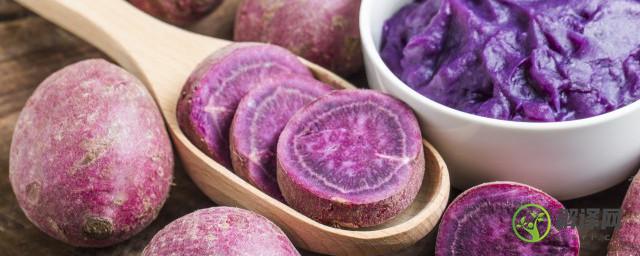食用紫薯的禁忌(紫薯食用禁忌介绍)