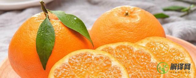 耙耙柑和丑橘有什么区别(耙耙柑不是丑橘吗)