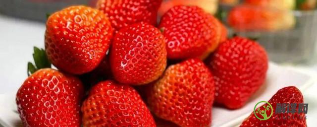 草莓几月份吃最好(吃草莓的季节是几月份吃草莓怎么样)
