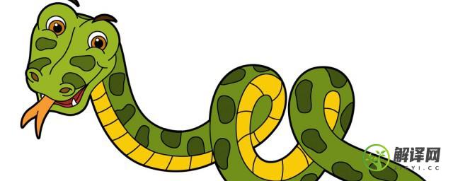 响尾蛇是从何处发出声音的(响尾蛇是从何处发出声音的原因)