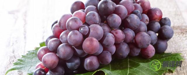 秋天吃葡萄的功效与作用(葡萄是秋天吃的吗)