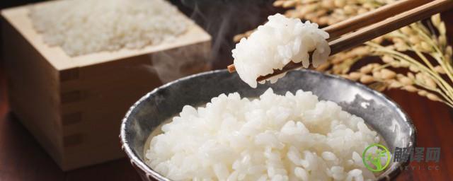 自热米饭是真的米吗(自热米饭是真的米饭吗)
