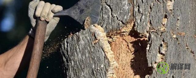 怎么去除干木头的树皮(木头皮怎么去掉)