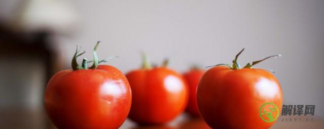 西红柿番茄怎么种植能高产(番茄怎样高产)