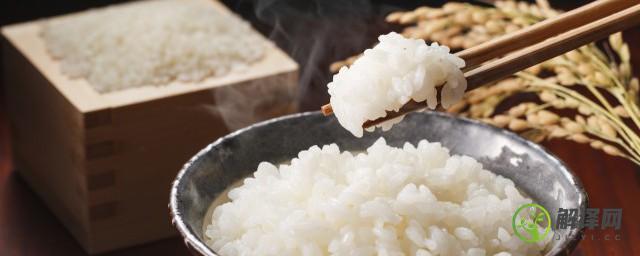 米饭二次怎么加热(米饭如何二次加热)