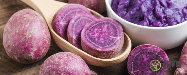 紫薯可以和大米一起煮吗(紫红薯和大米一起煮能吃吗)