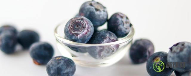 蓝莓和这5种水果榨汁让你清爽一夏