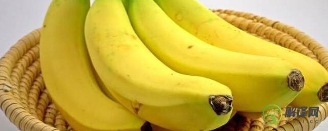 香蕉冷藏能放多长时间(香蕉冷藏能放多久)