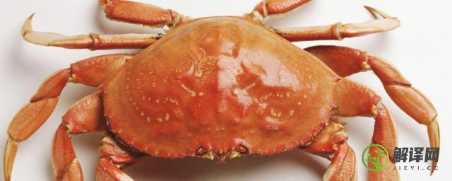 死了的螃蟹可以放冰箱冷冻吗(刚刚死的螃蟹可以放在冰箱里冷冻吗)
