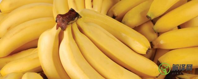 香蕉片干的功效与作用(香蕉干的功效与作用及食用方法)