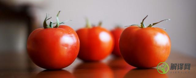 西红柿属于水果还是蔬菜(西红柿属于水果还是蔬菜 英文)