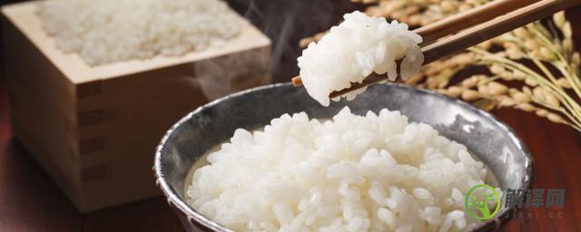 请问糙米直接蒸米饭可以吗(糙米饭是不是蒸米饭)