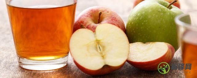 苹果当主食减肥可以吗(苹果能当减肥餐吗)