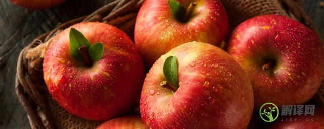 冬季储存苹果温度多少最好(苹果冬天多少度储存)