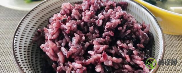 紫米做米饭必须提前泡吗(紫米蒸米饭需要提前泡吗)