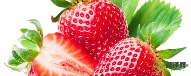 草莓为什么要用盐水泡(草莓为什么要用盐水泡?)