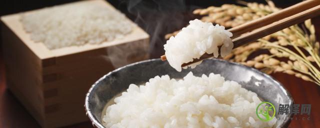米饭有点馊味还能吃吗(米饭有一点点馊味吃了没事吧)
