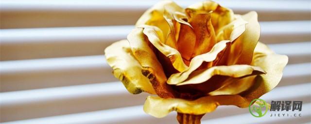 金玫瑰的花语是什么(金玫瑰的花语是什么?)