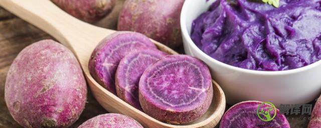 吃紫薯的好处(女人常吃紫薯的好处)