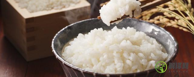 蒸米饭怎么蒸的一粒一粒的好吃