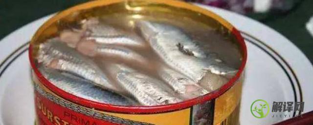 鲱鱼罐头这么臭为什么有人吃(鲱鱼罐头那么臭还有人吃)