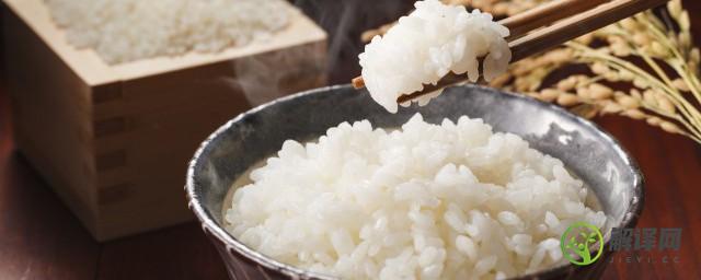 米饭碳水含量(米饭碳水含量高还是面条高)