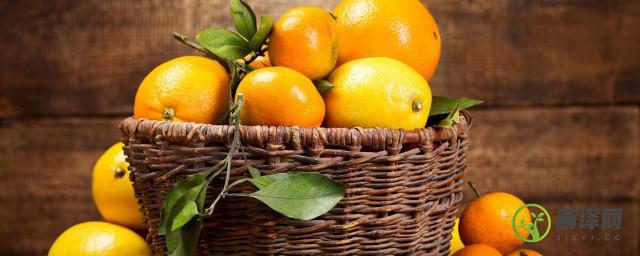 橘子成熟季节(橙子和橘子成熟季节)