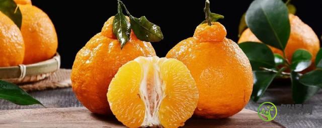 耙耙柑与丑橘的怎么区分(耙耙柑和丑橘有什么不一样)