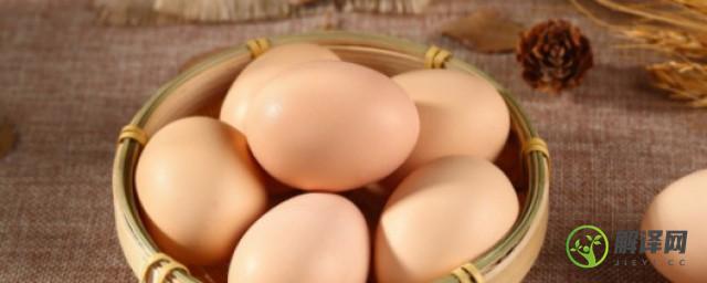 鸡蛋的结构(鸡蛋的结构有哪些特点)