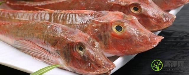 红娘子鱼怎么做好吃(红娘子鱼怎么做好吃窍门)